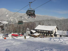 Alpengasthof Eichtbauer Spital Am Semmering